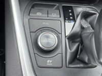 55921450-toyota-rav4-2019