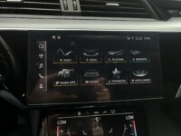 56194232-audi-e-tron-2022